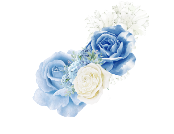 薔薇2